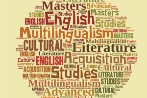 Masters in Advanced English Studies: Multilingualism and the Acquisition of English, U. Autònoma de Barcelona